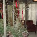 DSC02607.jpg